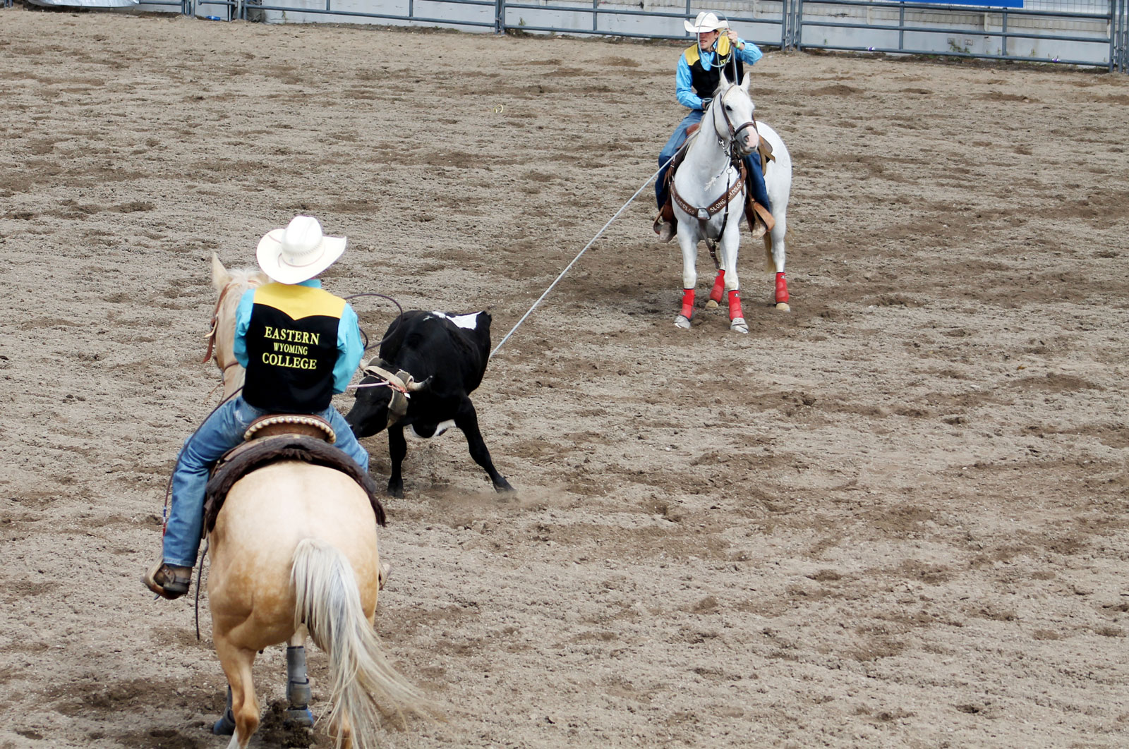 Canton Afdahl, Dalton Wieneke, team roping